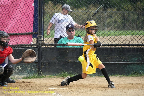 05672 - 2007 Jul - Hawks - Madison 10u - Gene Harvery Tourney