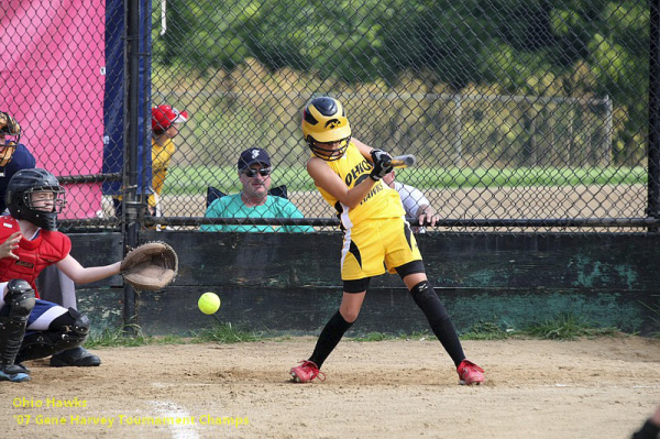 05689 - 2007 Jul - Hawks - Madison 10u - Gene Harvery Tourney