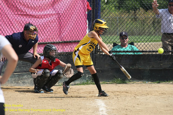 05731 - 2007 Jul - Hawks - Madison 10u - Gene Harvery Tourney