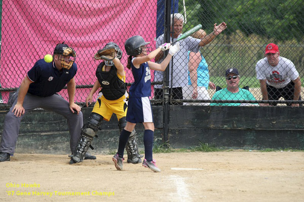 05857 - 2007 Jul - Hawks - Madison 10u - Gene Harvery Tourney