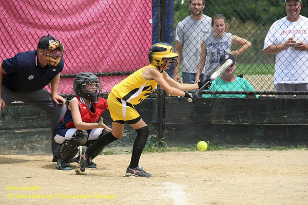 05923 - 2007 Jul - Hawks - Madison 10u - Gene Harvery Tourney