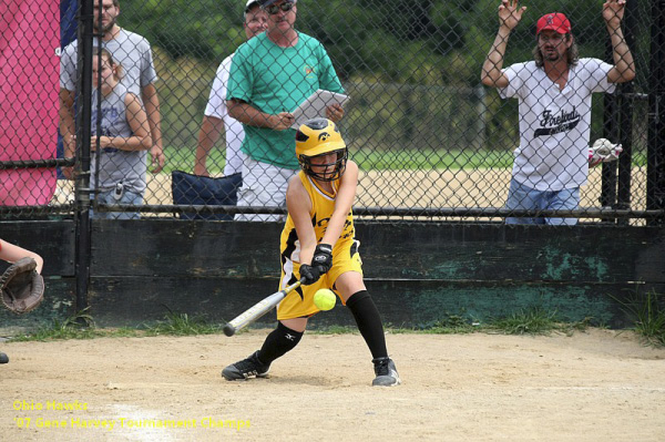 05927 - 2007 Jul - Hawks - Madison 10u - Gene Harvery Tourney