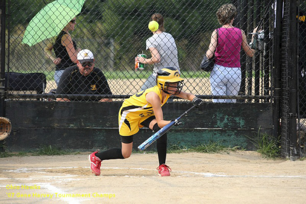 06398 - 2007 Jul - Hawks - Madison 10u - Gene Harvery Tourney