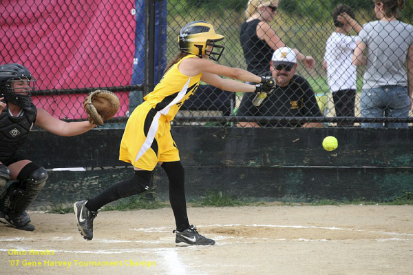 06414 - 2007 Jul - Hawks - Madison 10u - Gene Harvery Tourney