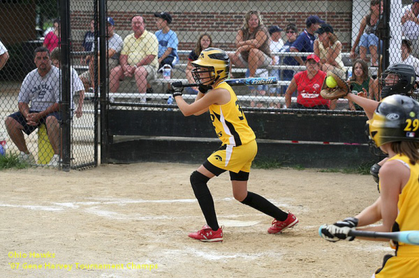 06531 - 2007 Jul - Hawks - Madison 10u - Gene Harvery Tourney