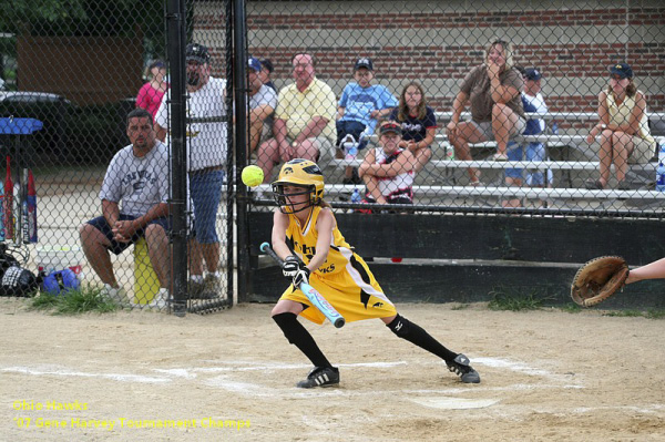 06542 - 2007 Jul - Hawks - Madison 10u - Gene Harvery Tourney