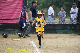 05653 - 2007 Jul - Hawks - Madison 10u - Gene Harvery Tourney