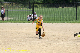 05894 - 2007 Jul - Hawks - Madison 10u - Gene Harvery Tourney