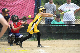 05917 - 2007 Jul - Hawks - Madison 10u - Gene Harvery Tourney