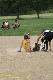 06325 - 2007 Jul - Hawks - Madison 10u - Gene Harvery Tourney