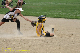 06345 - 2007 Jul - Hawks - Madison 10u - Gene Harvery Tourney